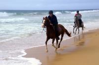 葡萄牙之旅-大西洋海边纵马