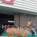 我眼中的第八届北京马展