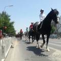 2014锦州世博园马术嘉年华-骑马出行活动