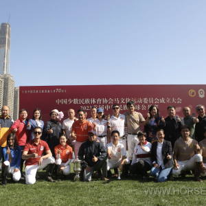 纪念全国民运会70周年：中国民族体协成立马文化运动委员会