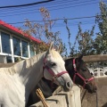 我的相册
