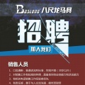 八尺龙马具