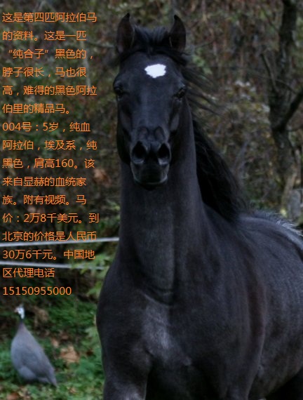 2014年1月29日04.jpg