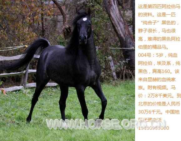 2014年1月29日043.jpg