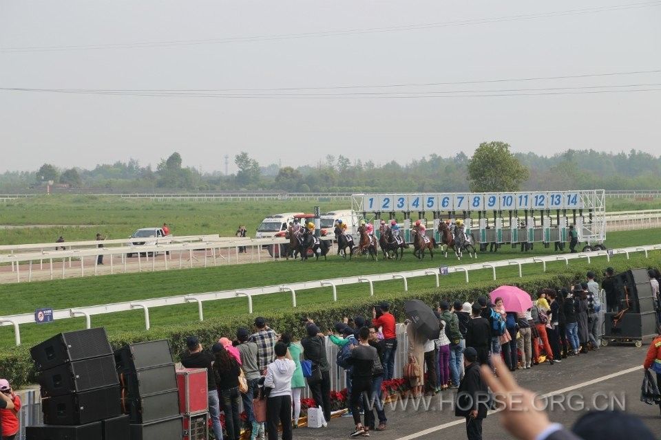 QQ图片20030101002551.jpg