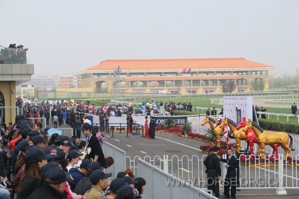 QQ图片20030101003015.jpg