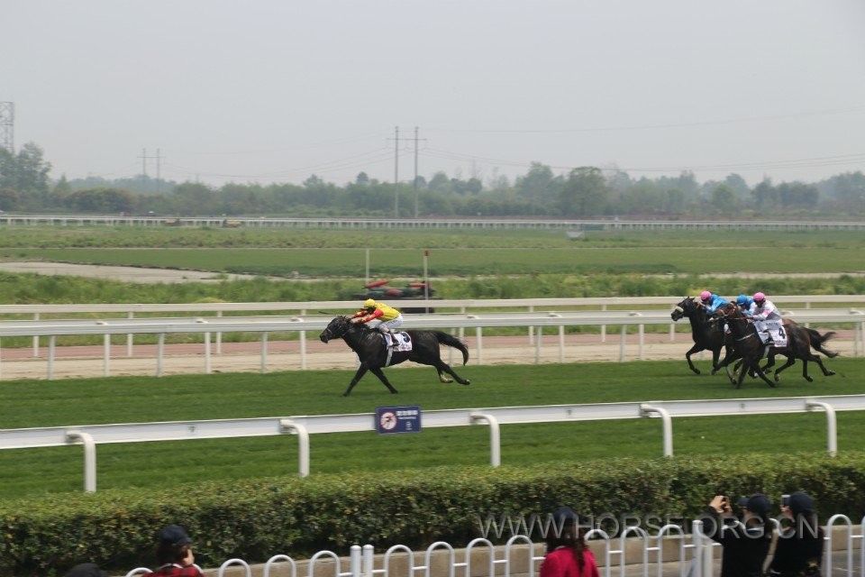 QQ图片20030101003137.jpg