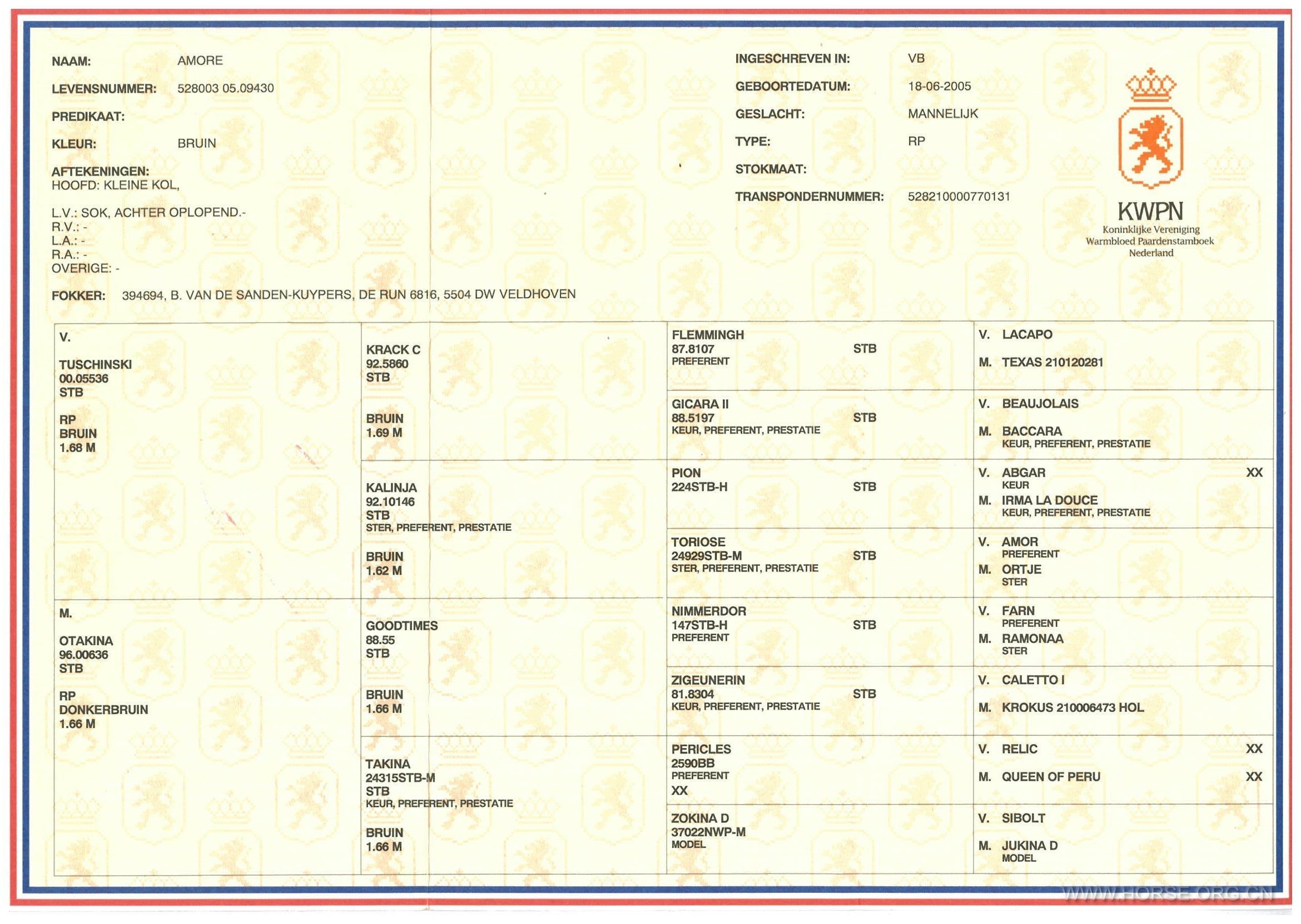 amore passport.jpg