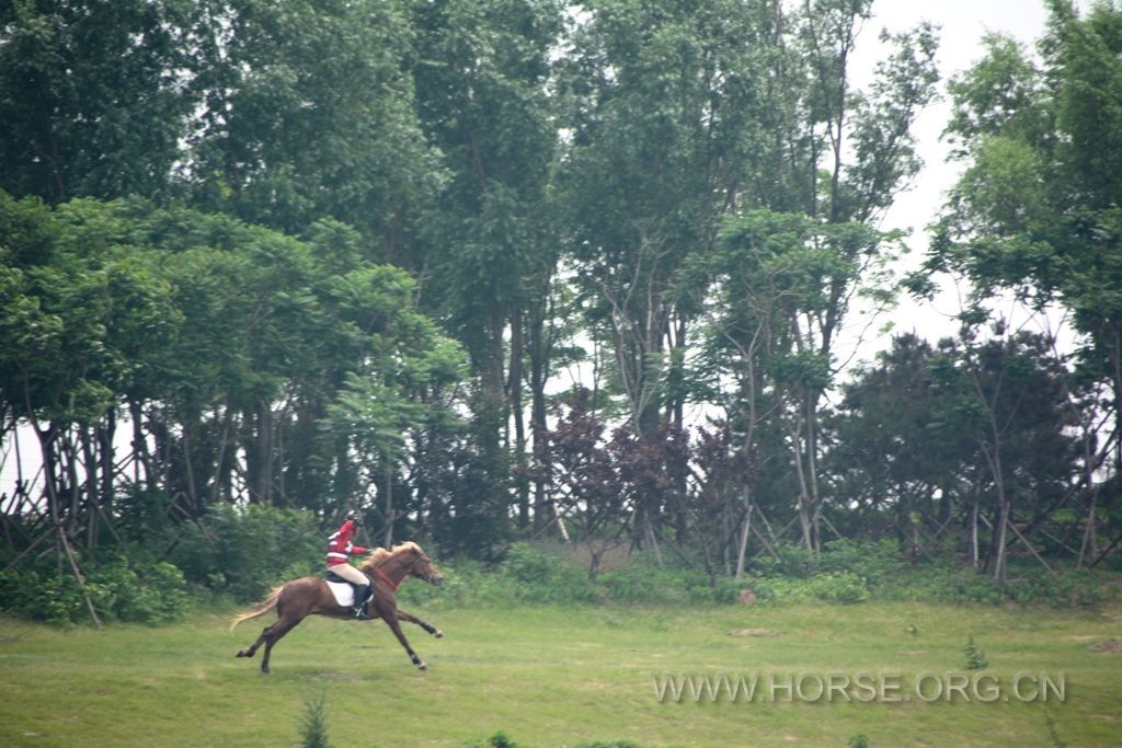 DSC_9787.JPG