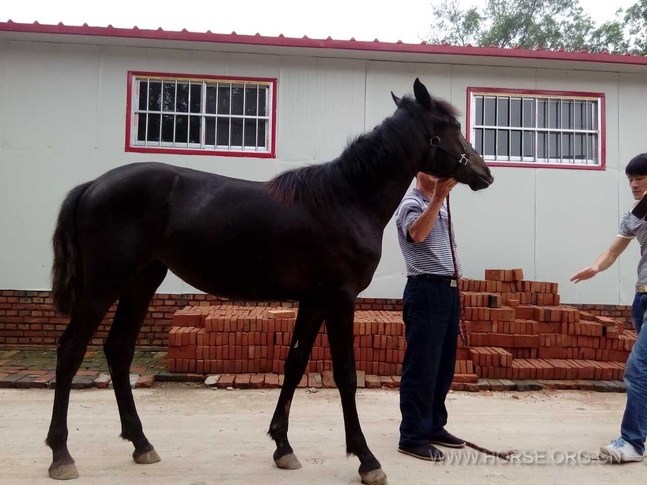 QQ图片20140619101113.jpg