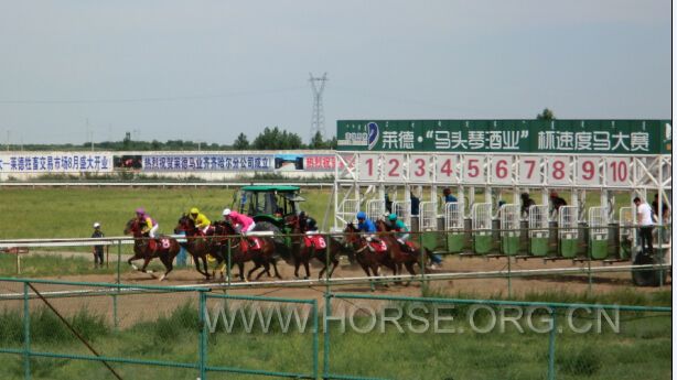莱德速度赛  (2).jpg