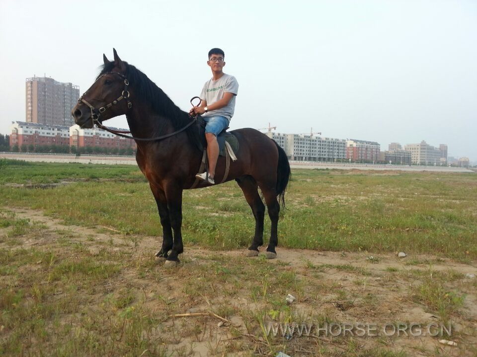 QQ图片20140802195551.jpg