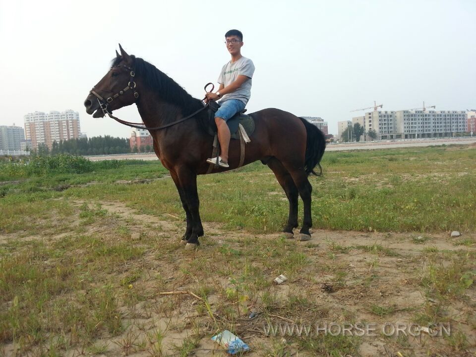 QQ图片20140802195558.jpg
