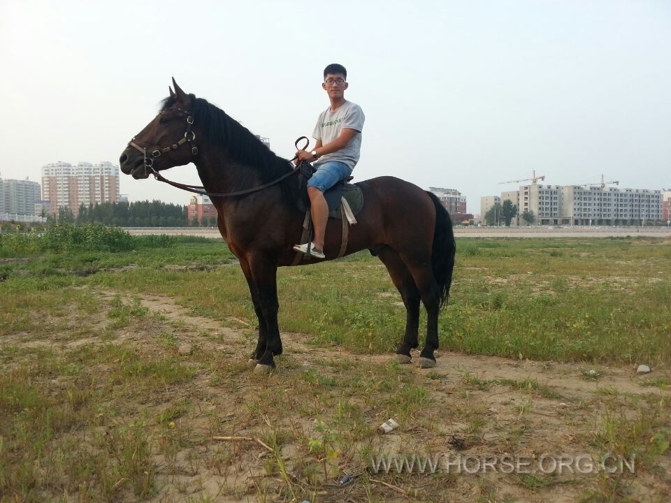 QQ图片20140802195545.jpg