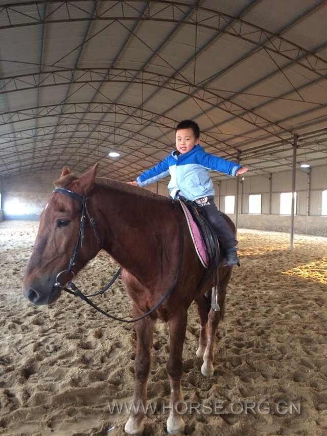QQ图片20141030135918.jpg