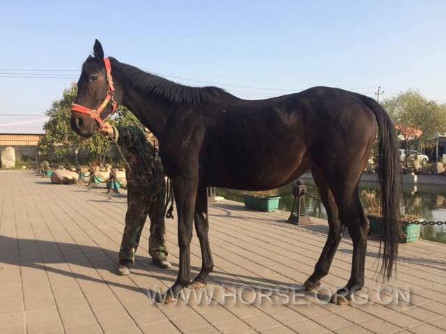 身高156cm