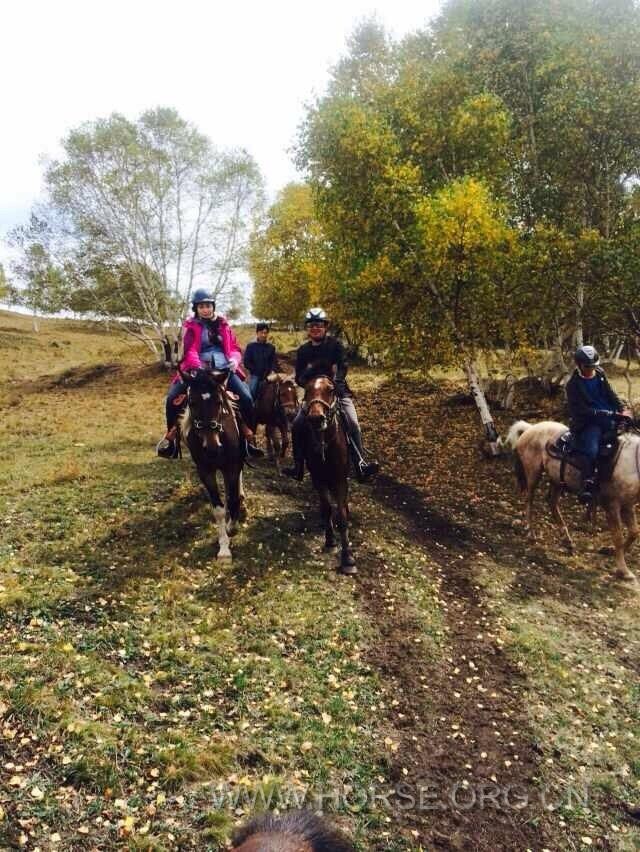 QQ图片20141124161140.jpg