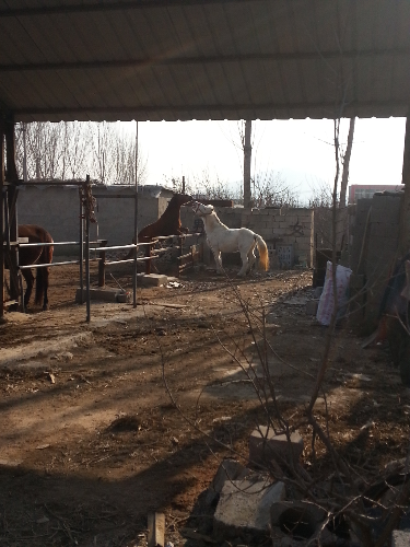 20141206_135610.jpg
