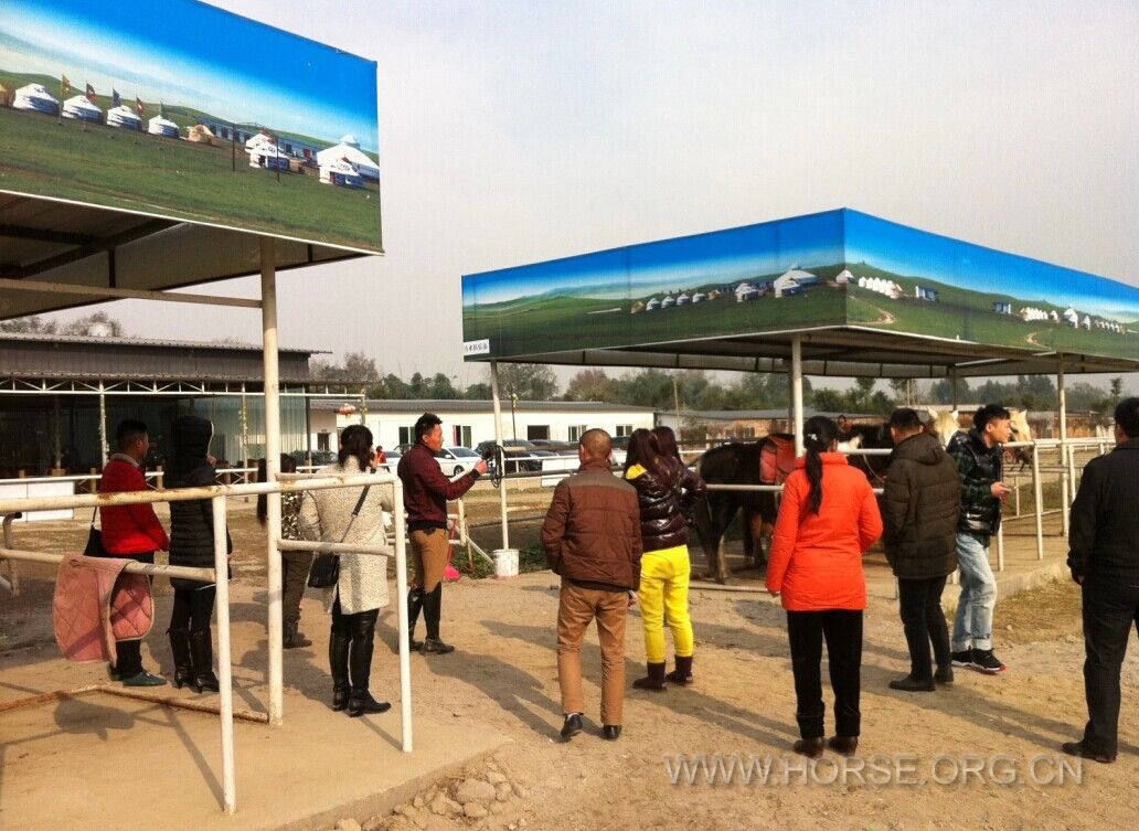 QQ图片20141221130258.jpg