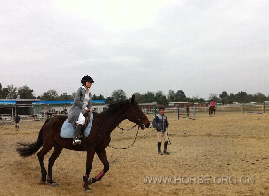 QQ图片20141221130930.jpg
