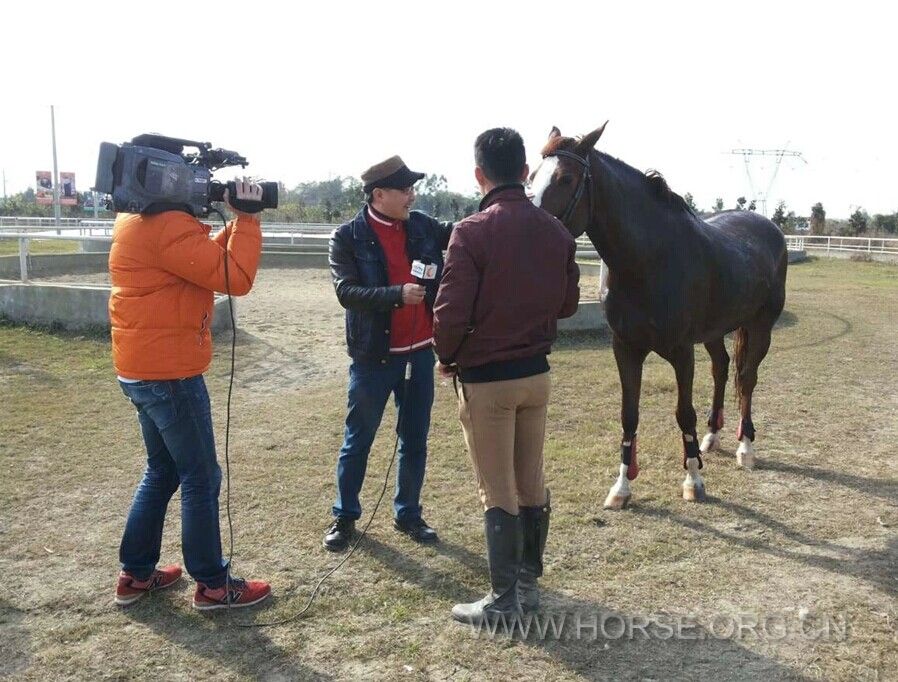 QQ图片20141221131805.jpg