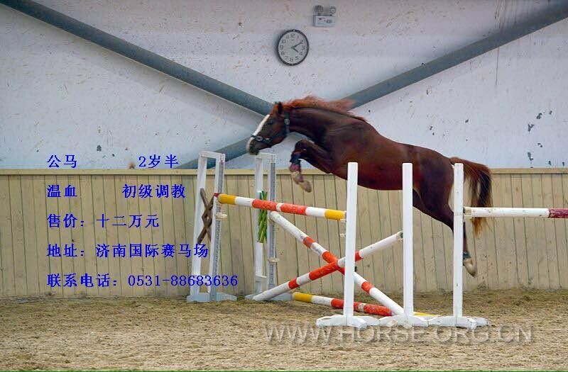 QQ图片20141228214910.jpg