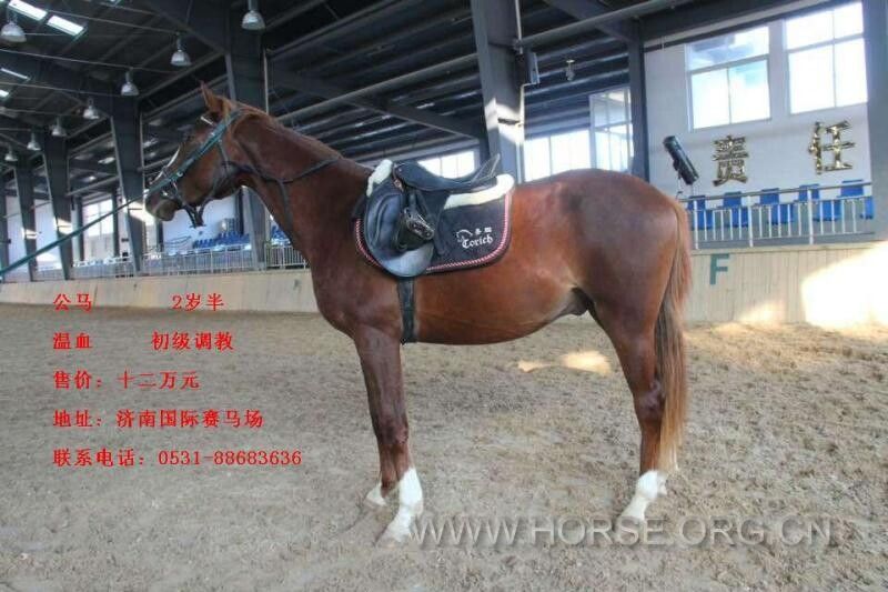QQ图片20141228214953.jpg