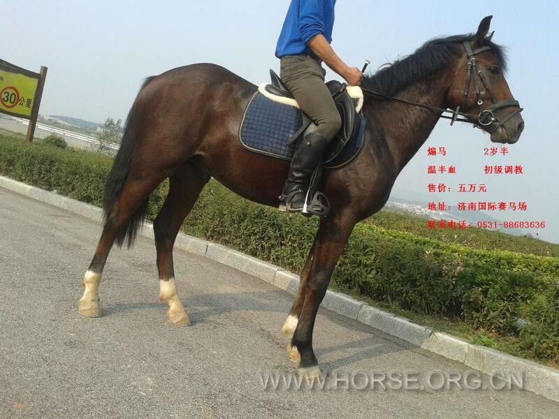 QQ图片20141228215028.jpg