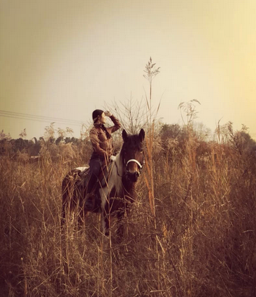 QQ图片20150104211425.png