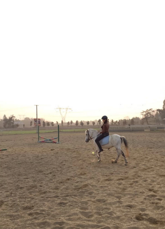 QQ图片20150104211530.png