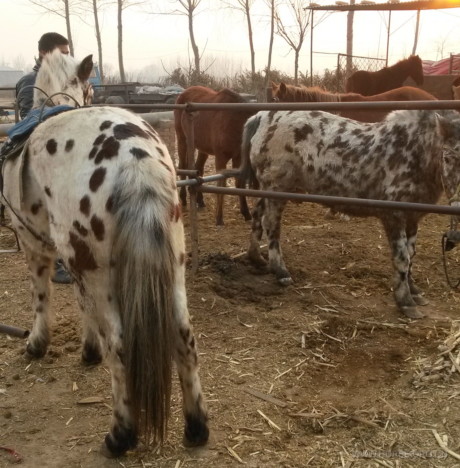 20150107_161856_2345看图王.jpg