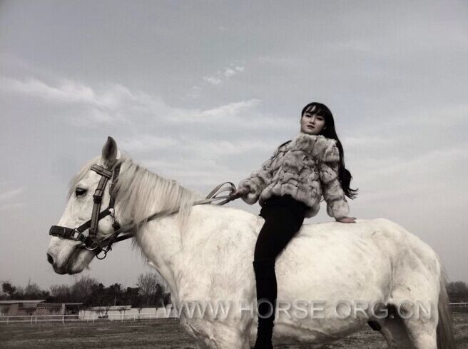 QQ图片20150119123510.jpg