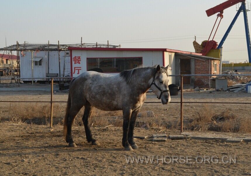 QQ图片20141230092015.jpg