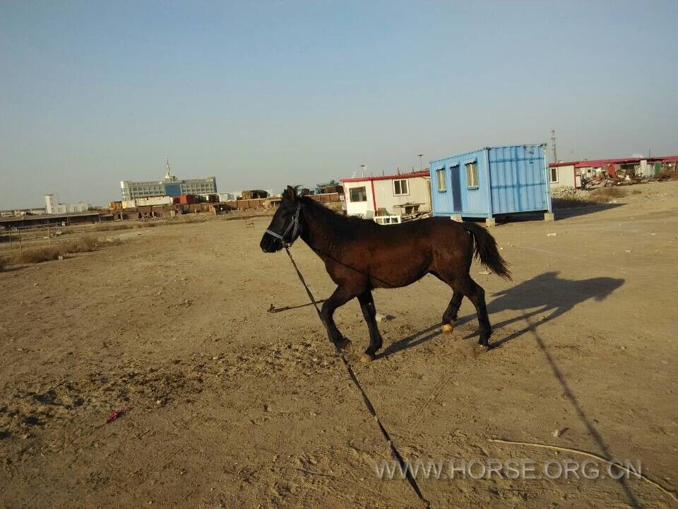 QQ图片20150125212205.jpg