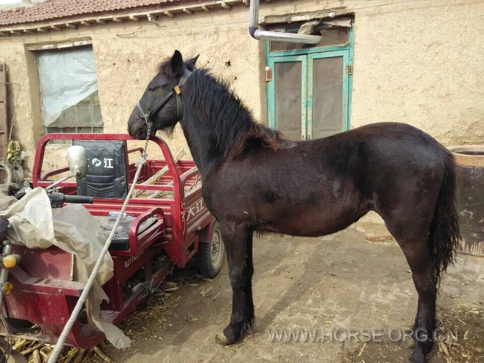 QQ图片20150126203218.jpg