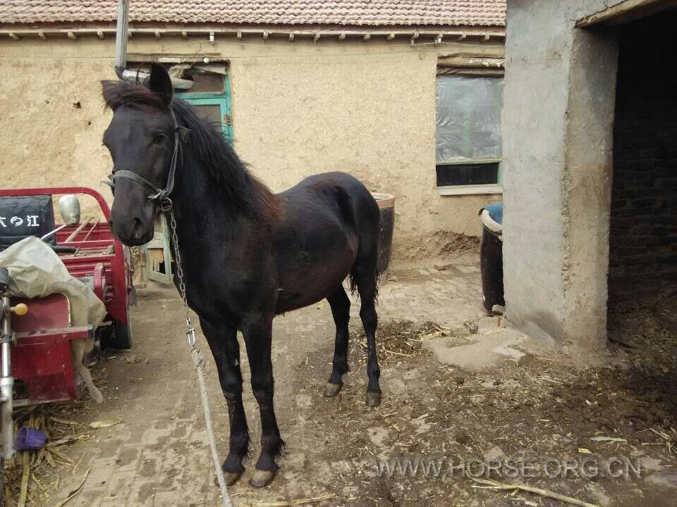 QQ图片20150126203222.jpg