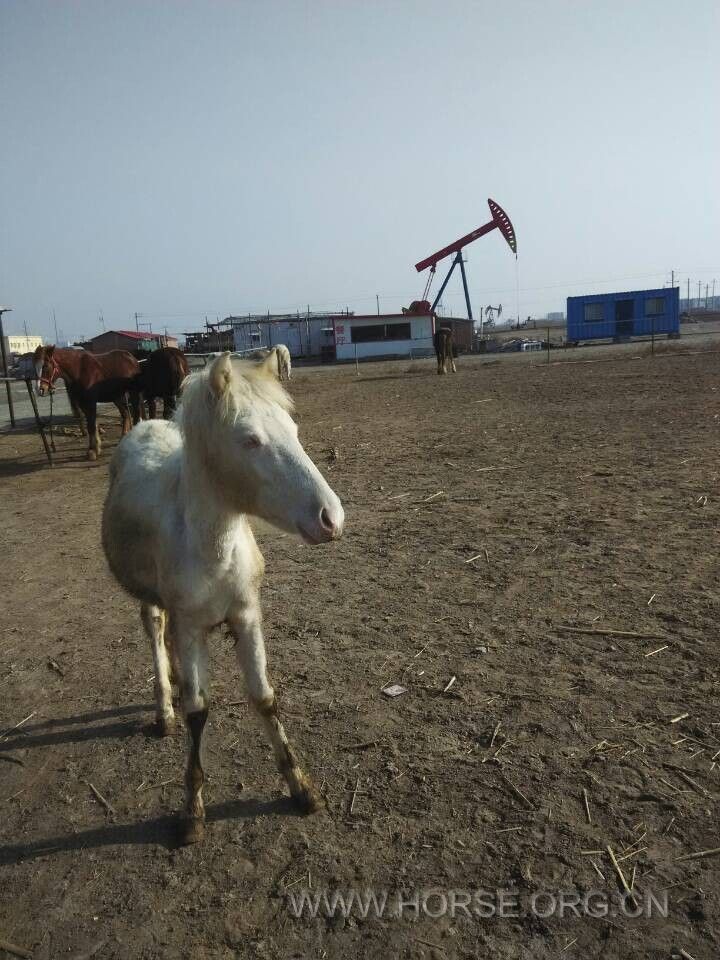 QQ图片20150130181106.jpg