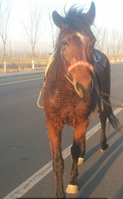 QQ图片20150201205812.jpg