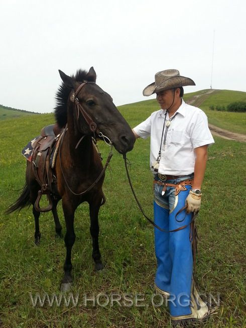 20140723_103741.jpg
