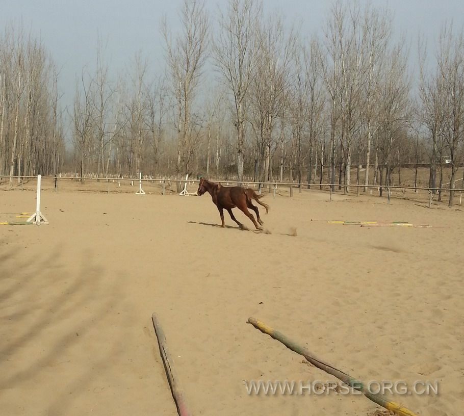 IMG20150212135947.jpg