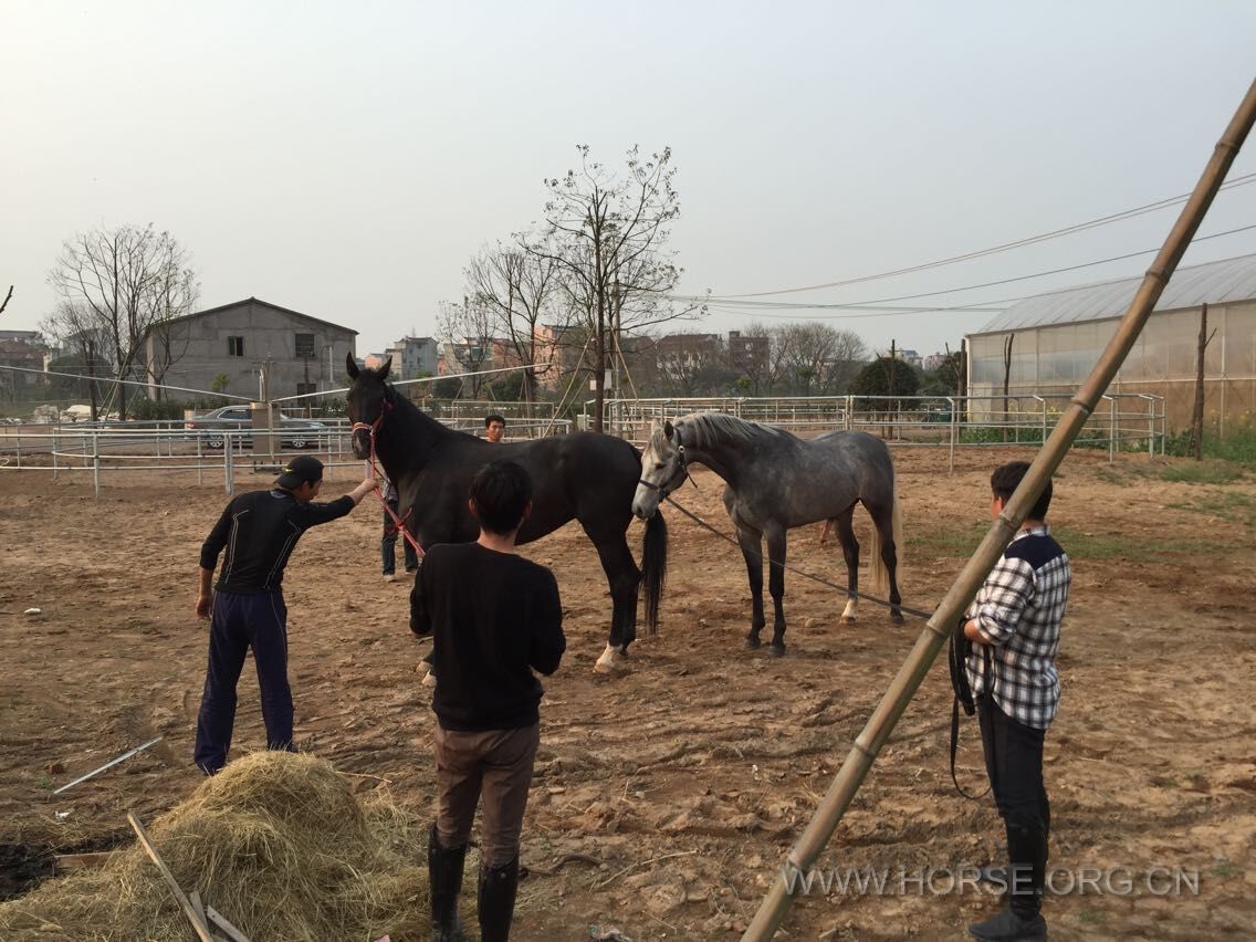 QQ图片20150318182617.jpg