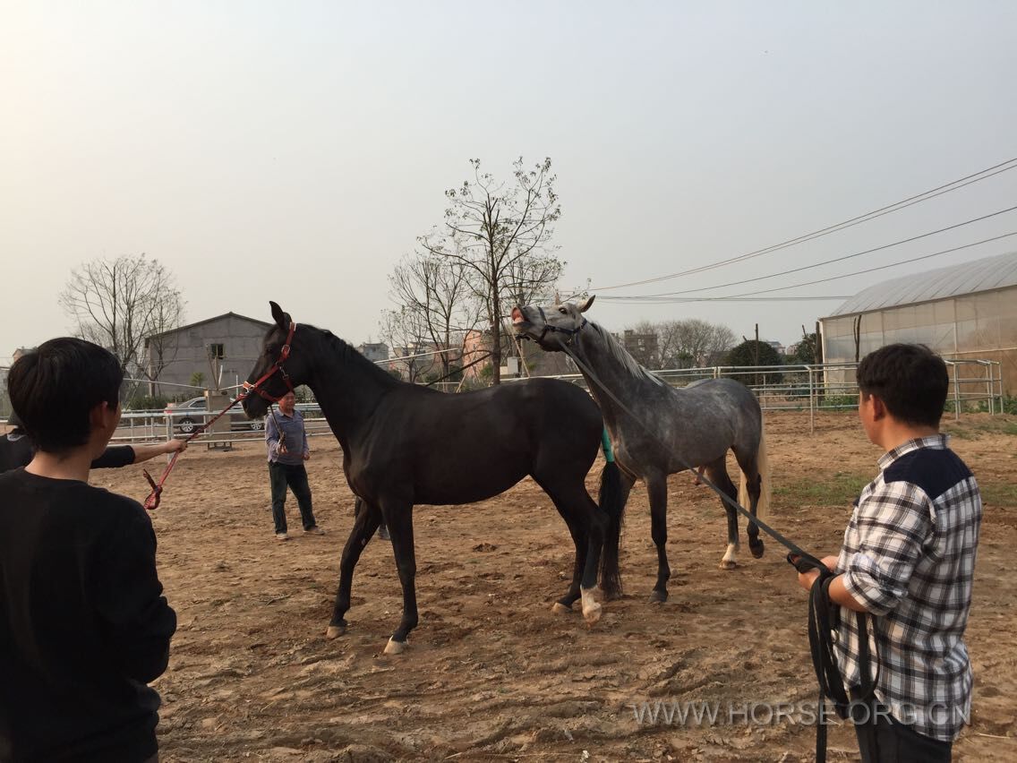 QQ图片20150318182628.jpg