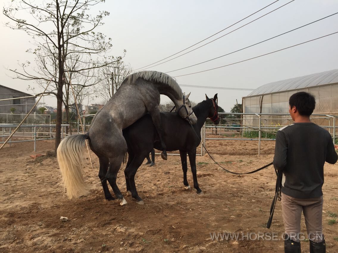 QQ图片20150318182608.jpg