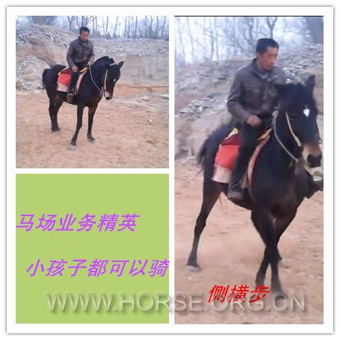 合成黑.jpg