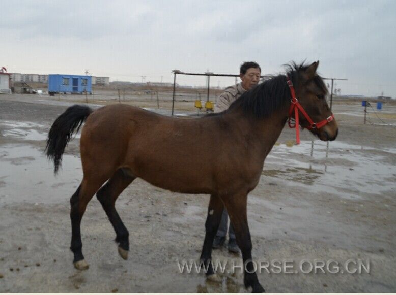 QQ图片20150412075505.jpg