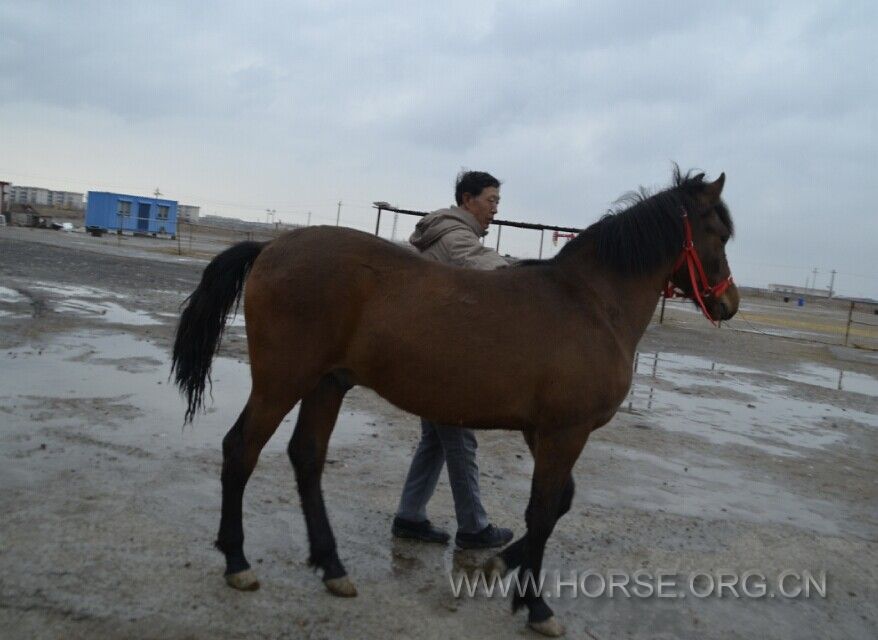 QQ图片20150412080021.jpg