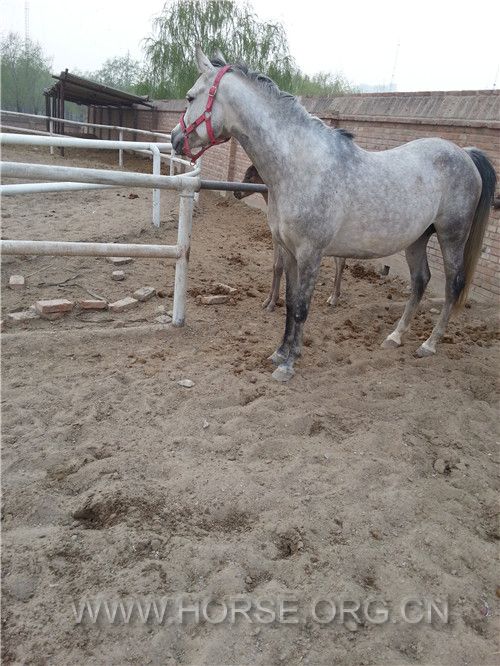 20150411_175624.jpg