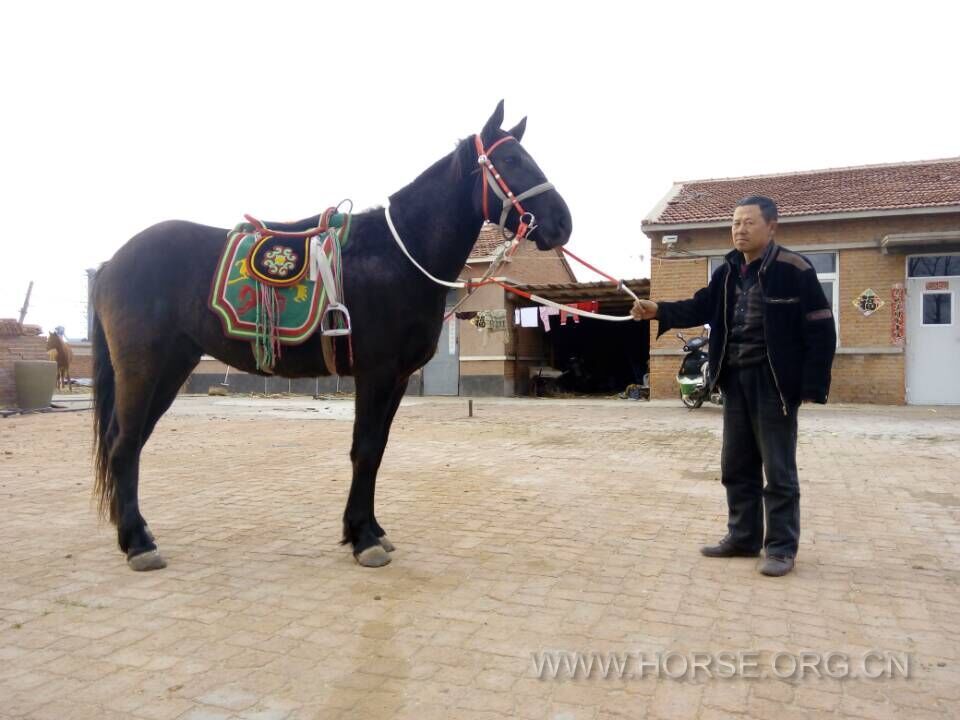 QQ图片20150420122100.jpg