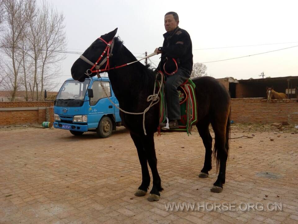 QQ图片20150420122122.jpg