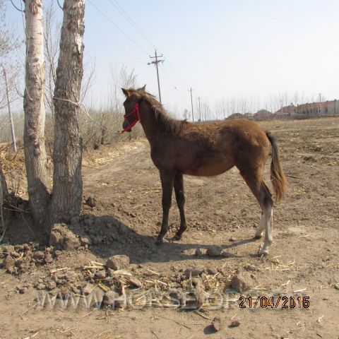 IMG_2425.JPG